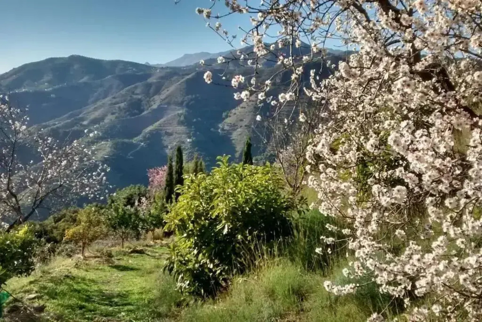 Villa Colina Tropical