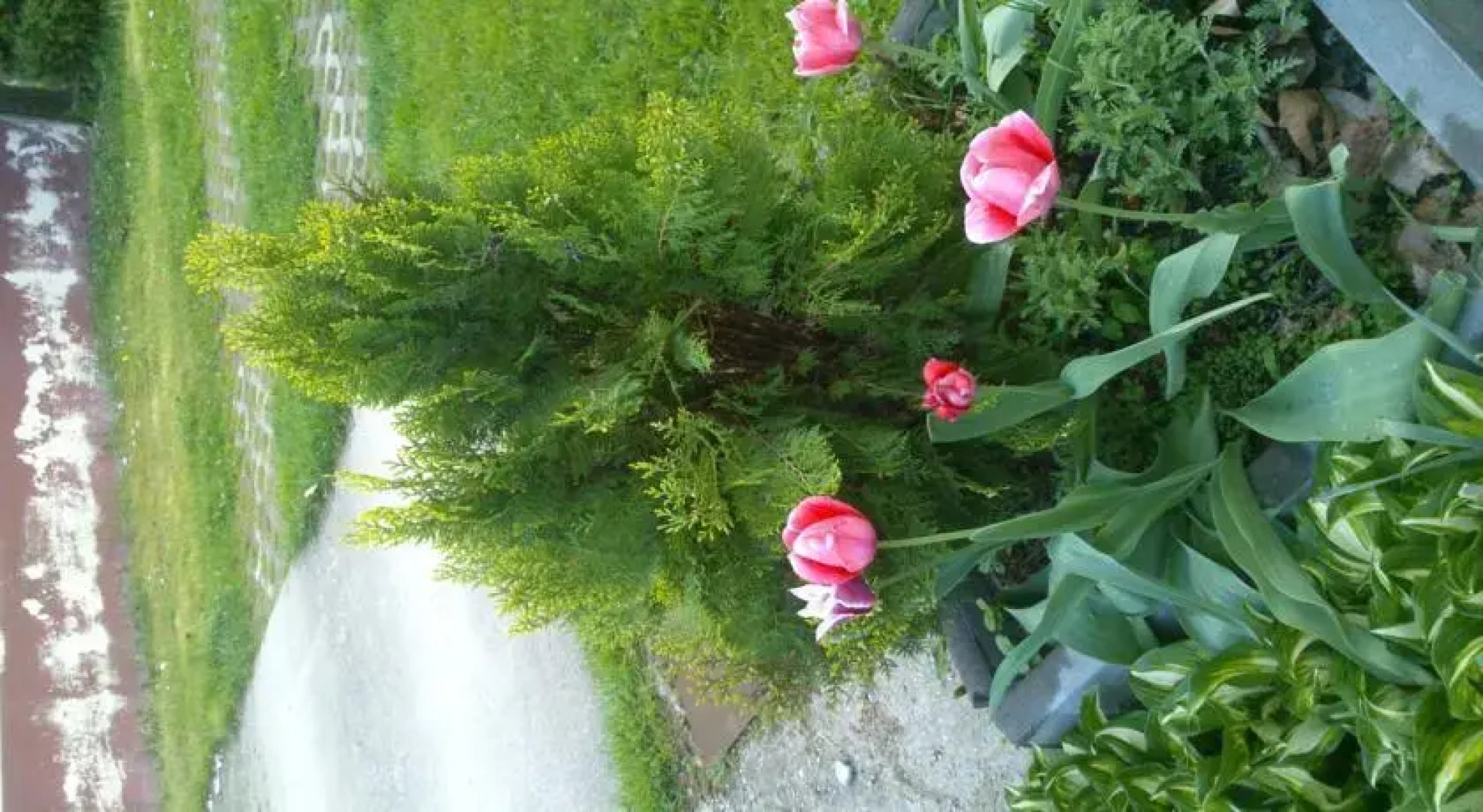 Szentkút Patak Szalló