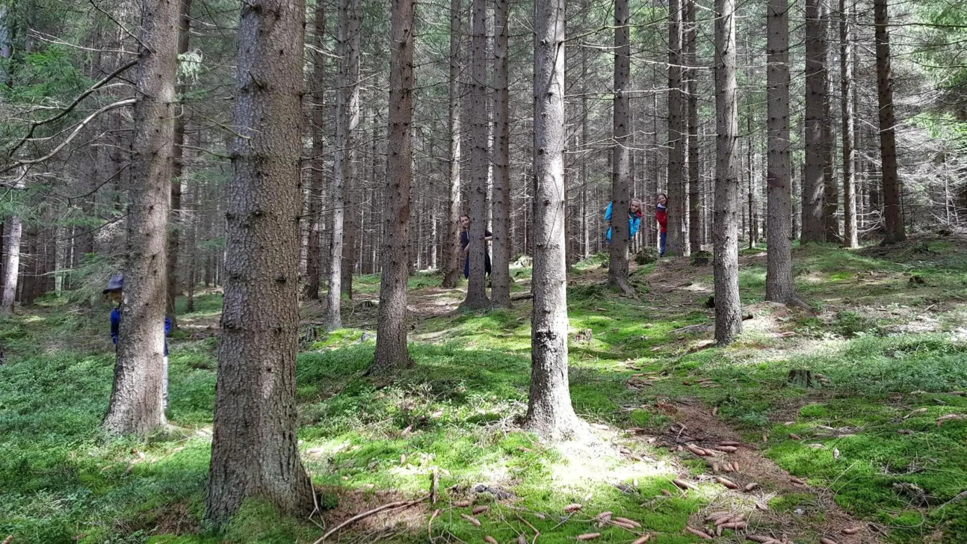 Riviera Lipno 502-07