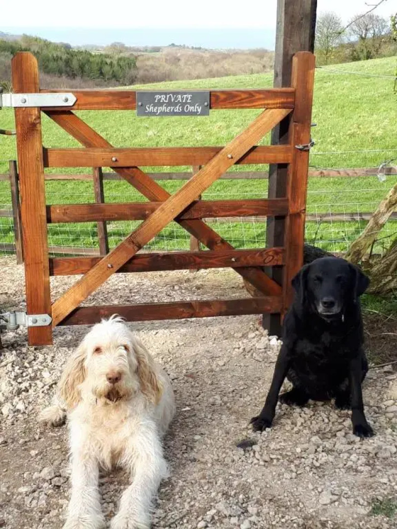 Meadowbeck - Shepherd Huts