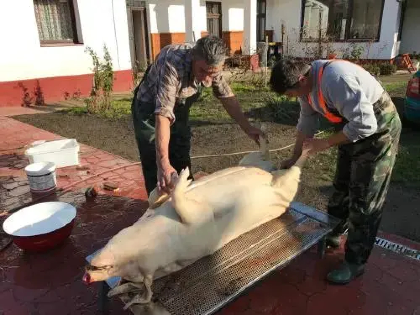 Csipkés Vendégház