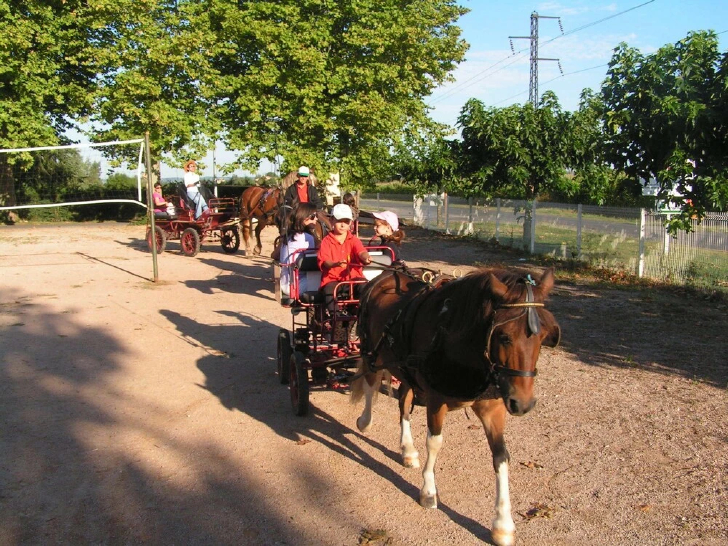 Le Domaine du Cèdre