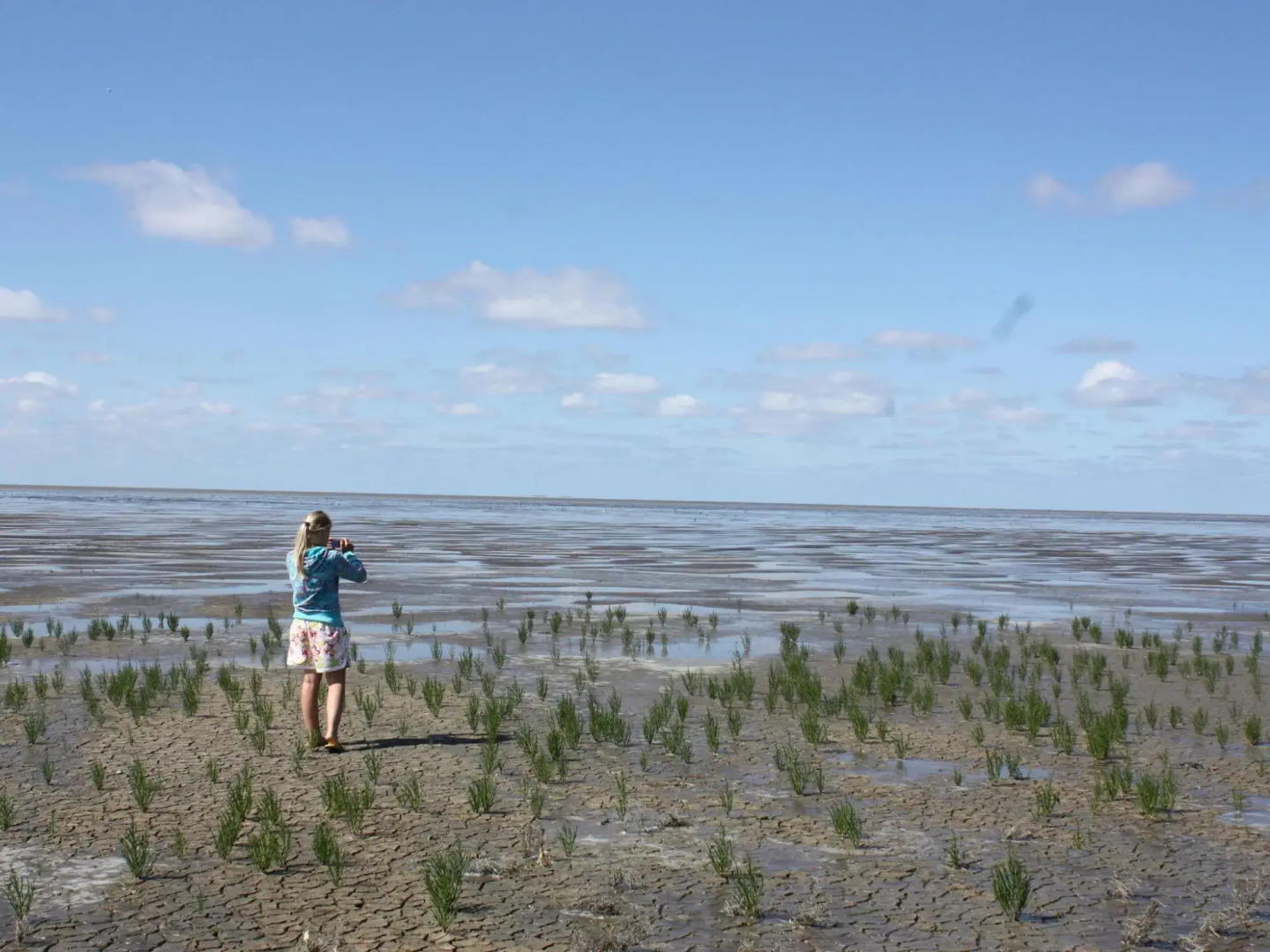 Traditional Villa in Tzummarum near Sea