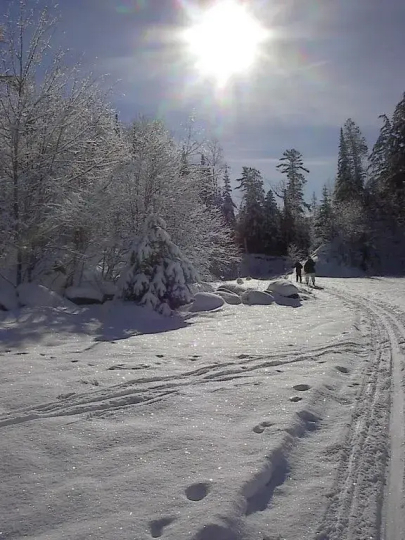 Bondi Village Lodge & Cottages
