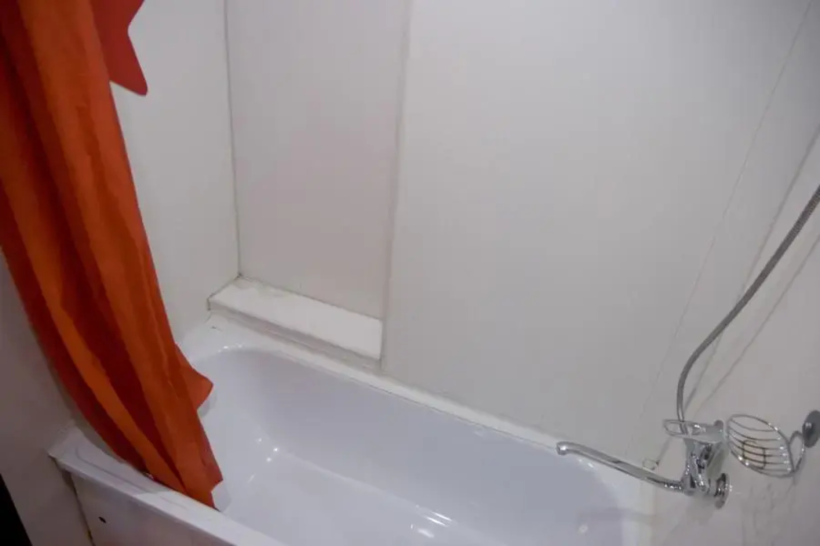 Барбарис на улице Свердлова 134