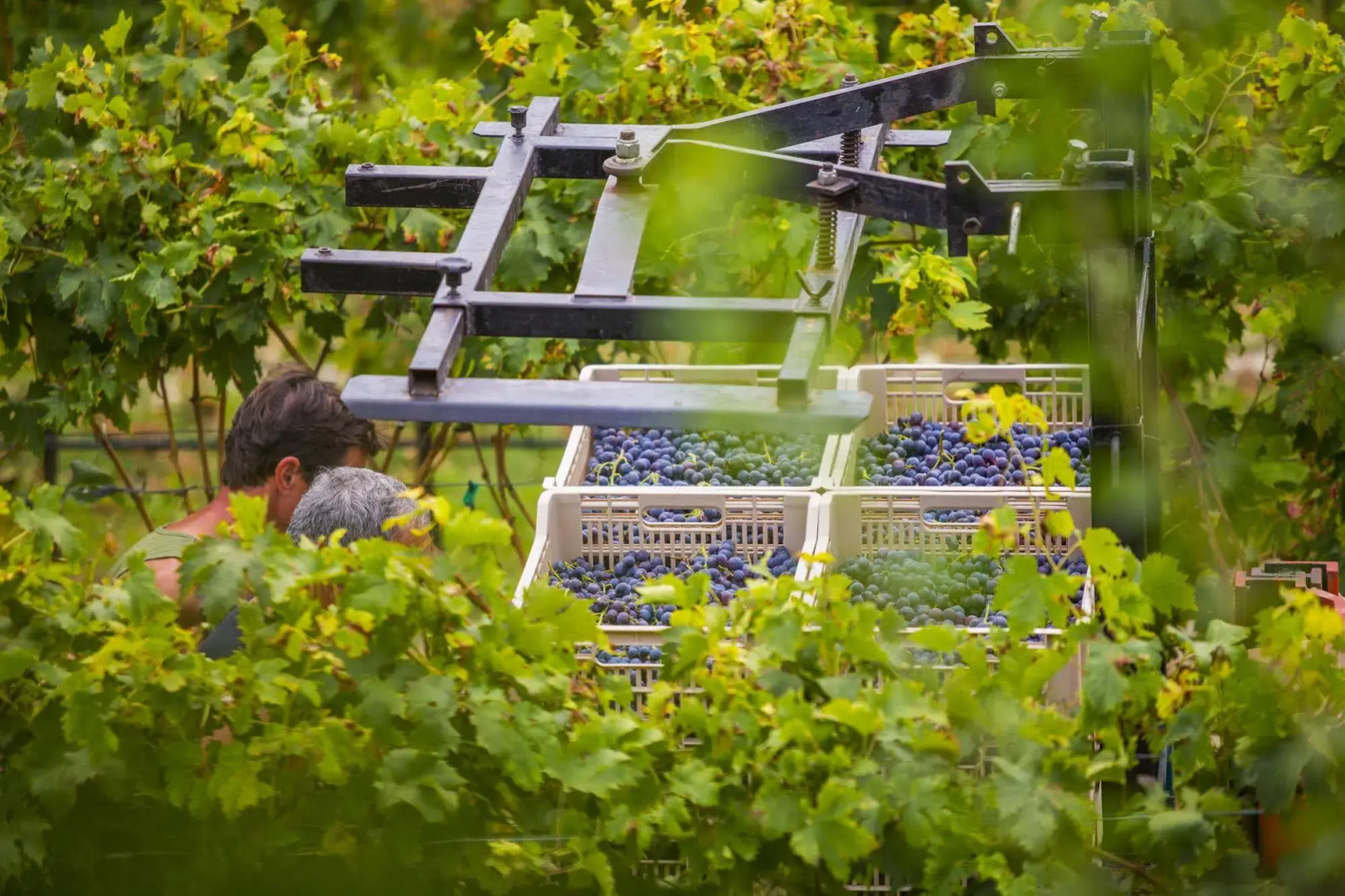 B&B Boutique Osteria della pieve