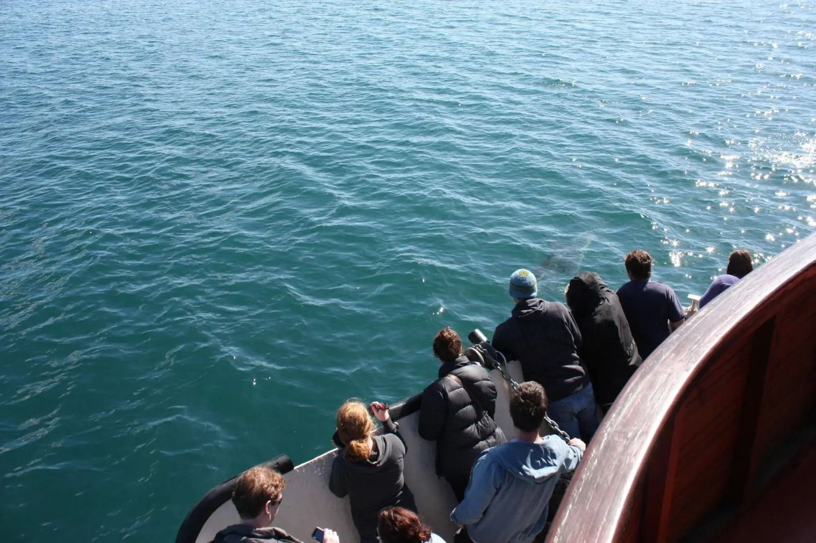 The Rock Adventure Cruise