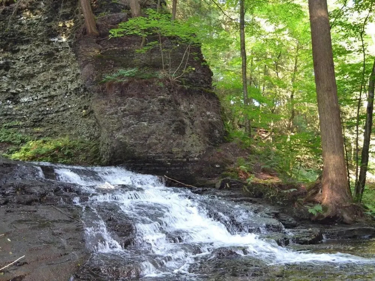 Tentrr - Hemlock Gorge Hideaway