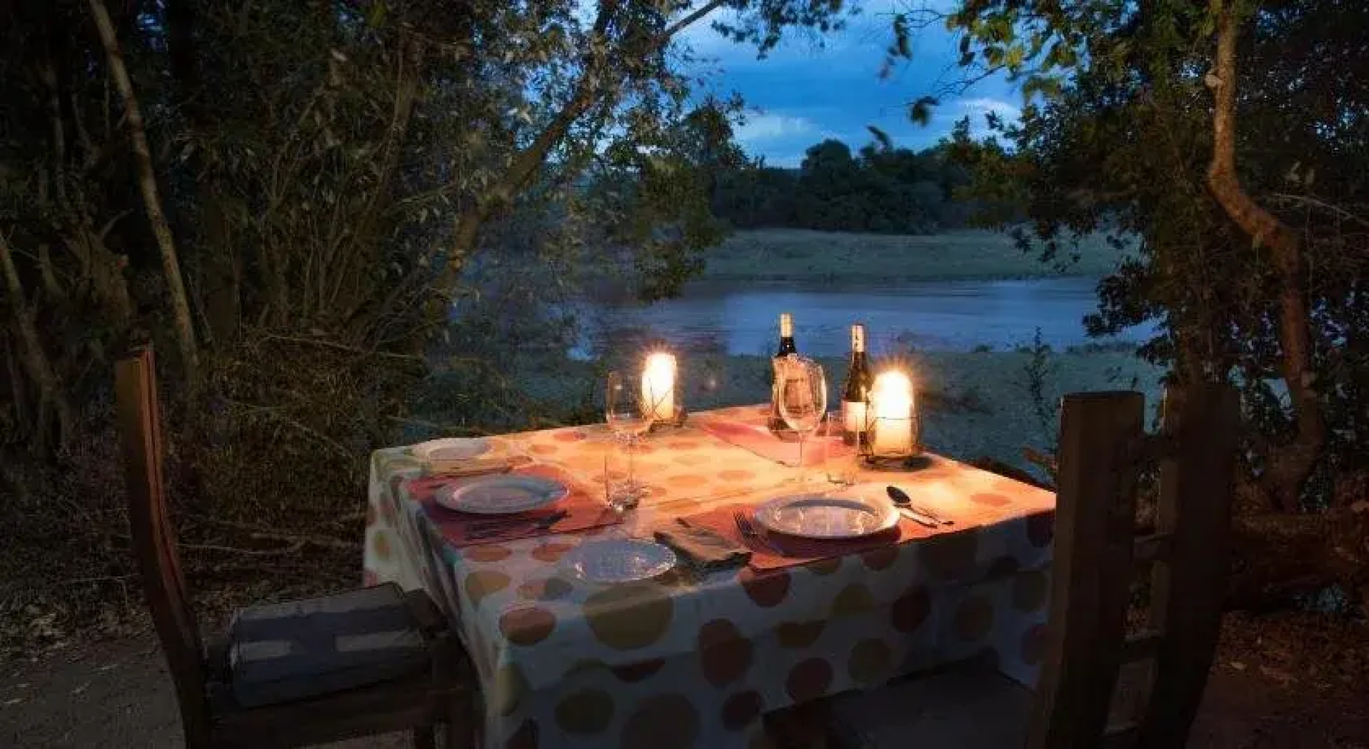 Hammerkop Migration Camp