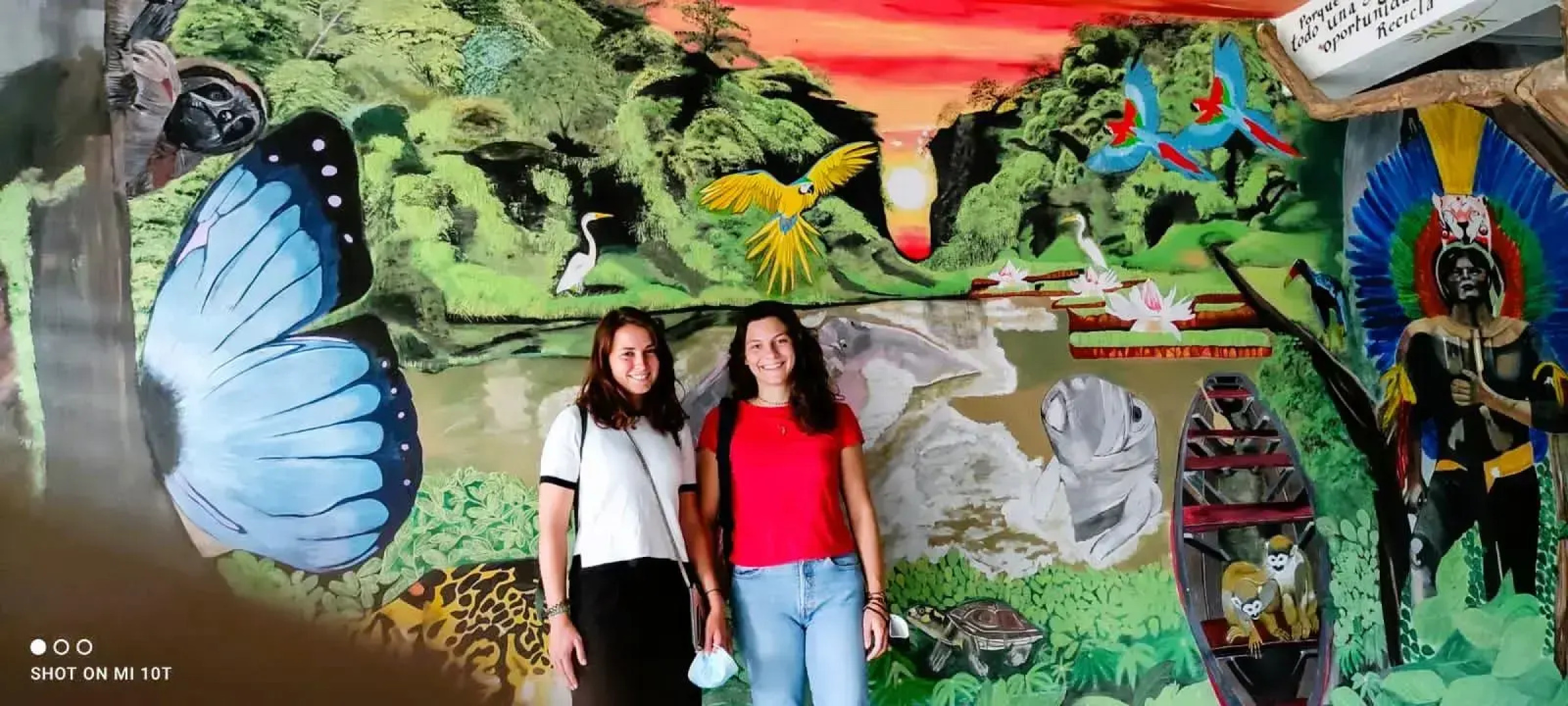 Eco hotel the refuge of the forest