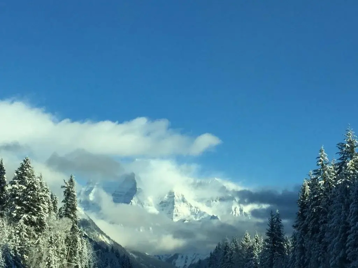 Cougar Mountain Lodge B&B