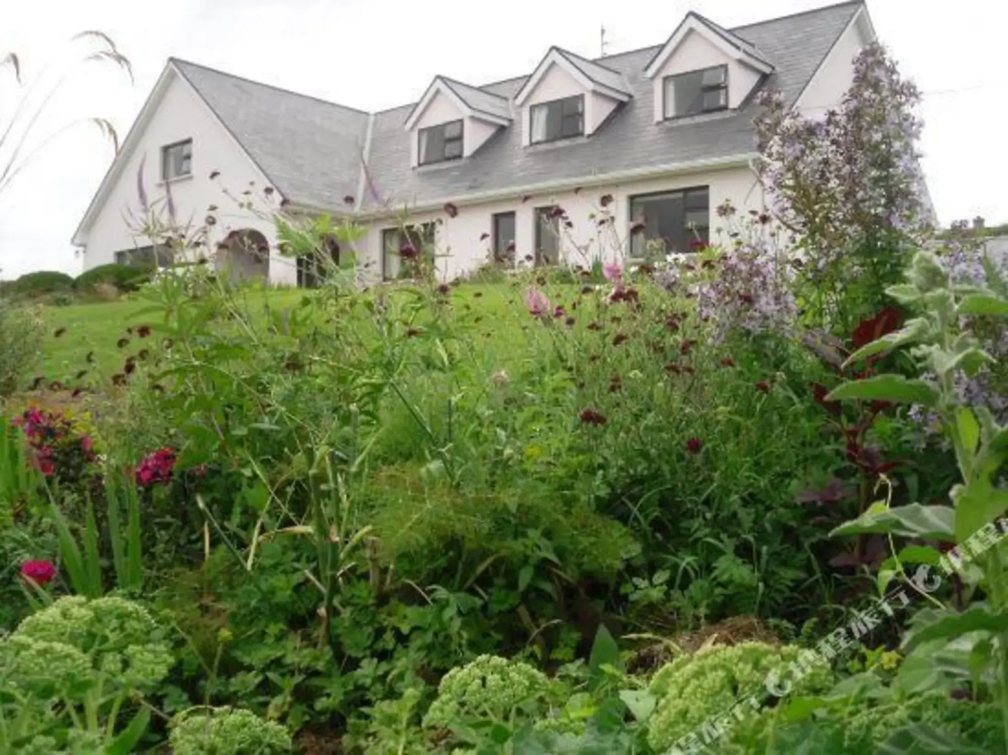 Cregg House B&B