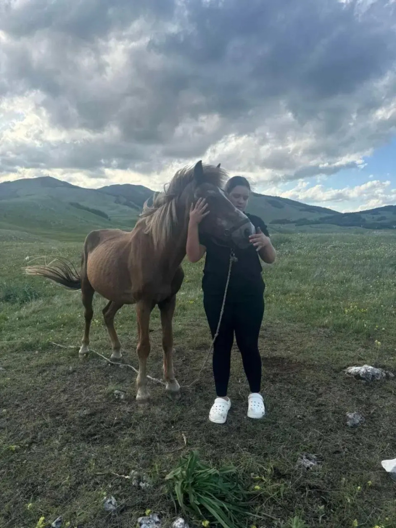 Guest House Etno Village Milogora