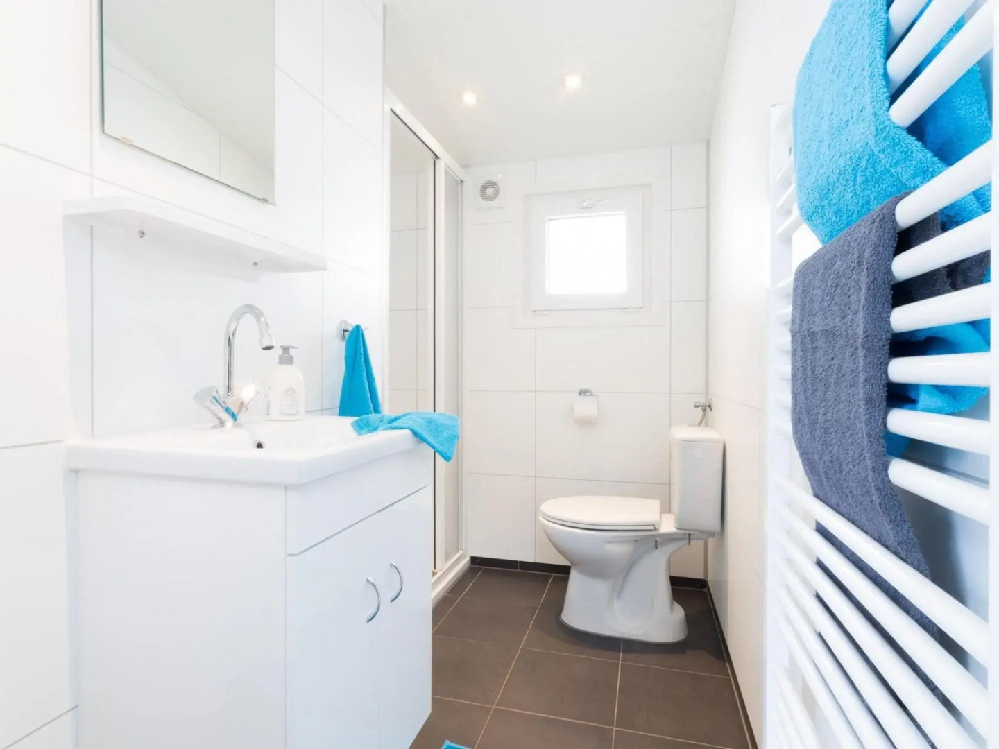 Modern Chalet Near De Veluwe National Park