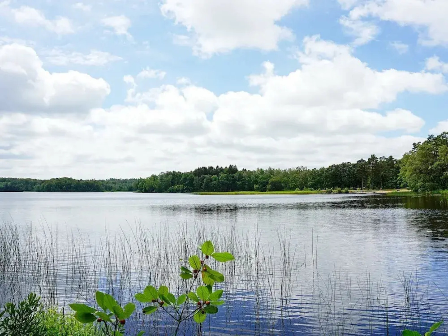 Holiday Home in Ôrkelljunga