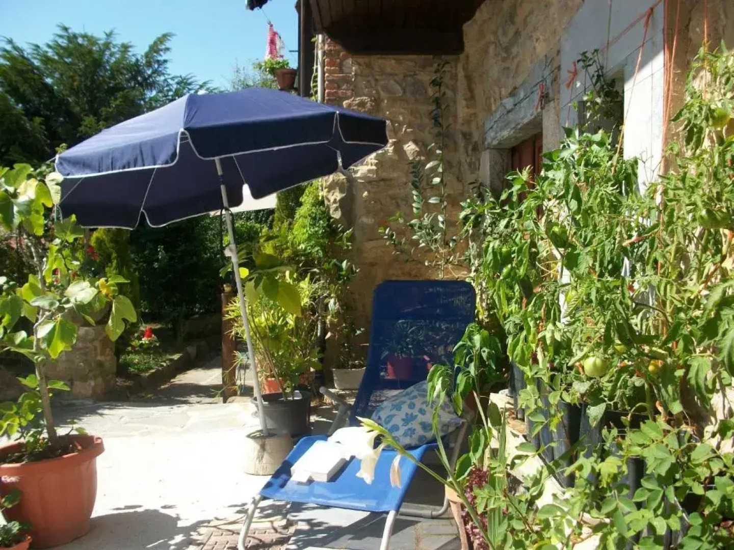 Casa de Aldea El Torrexon