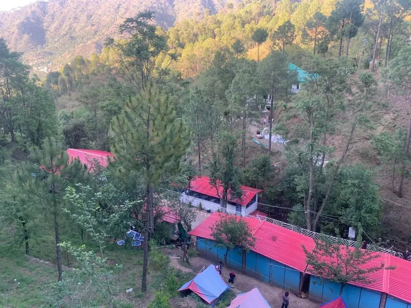 Pine Trails Jungle Camp