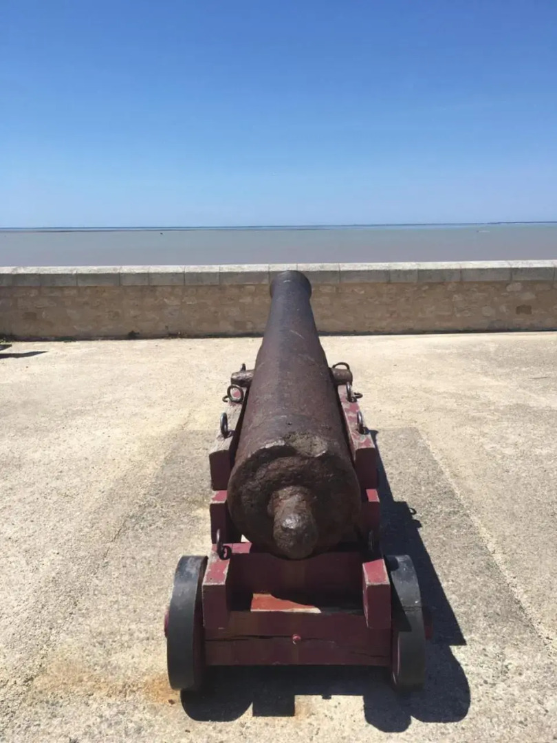 Petit nid à 50m de la plage au coeur de Fouras
