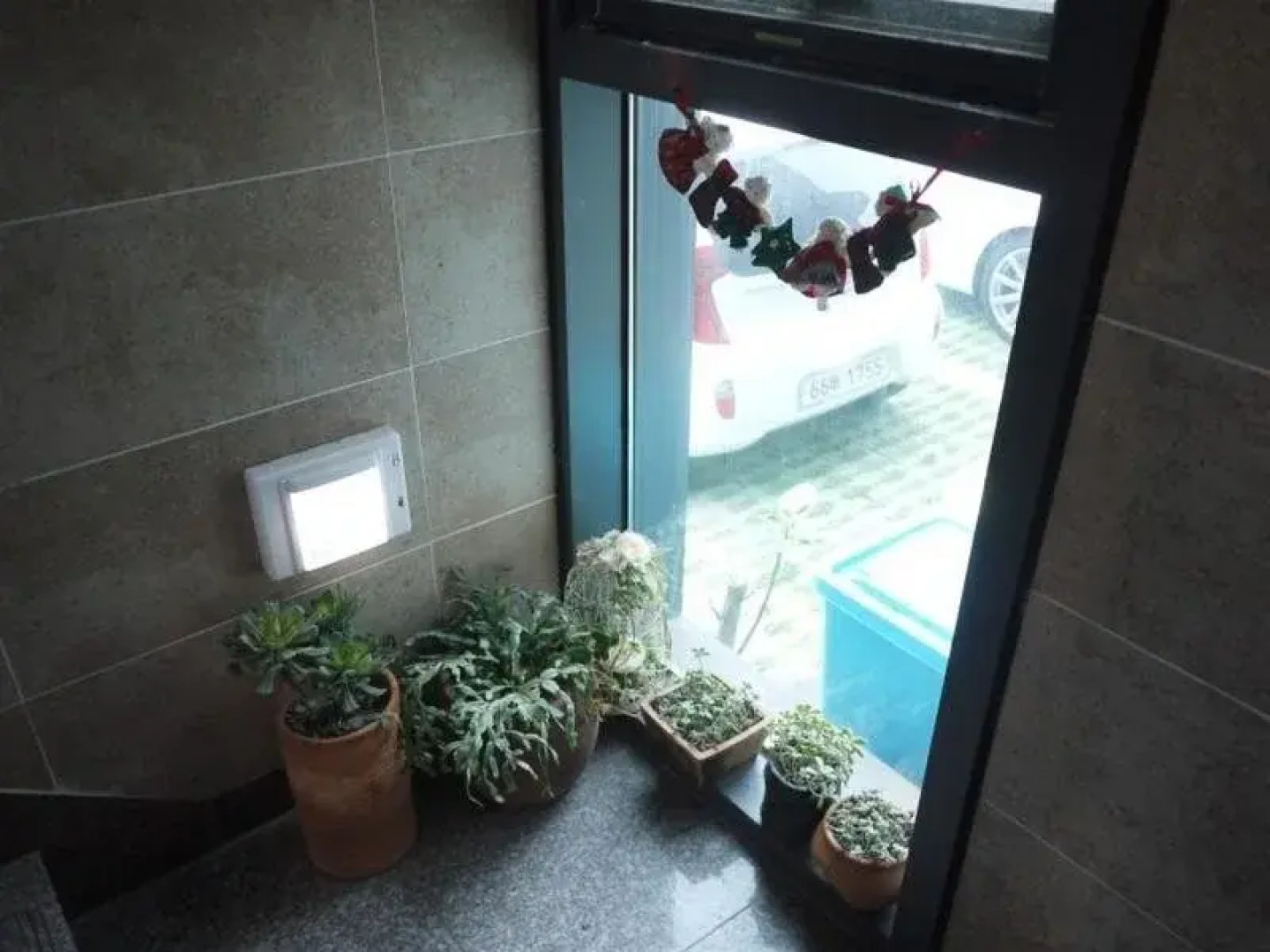 Buan Bauhaus Pension