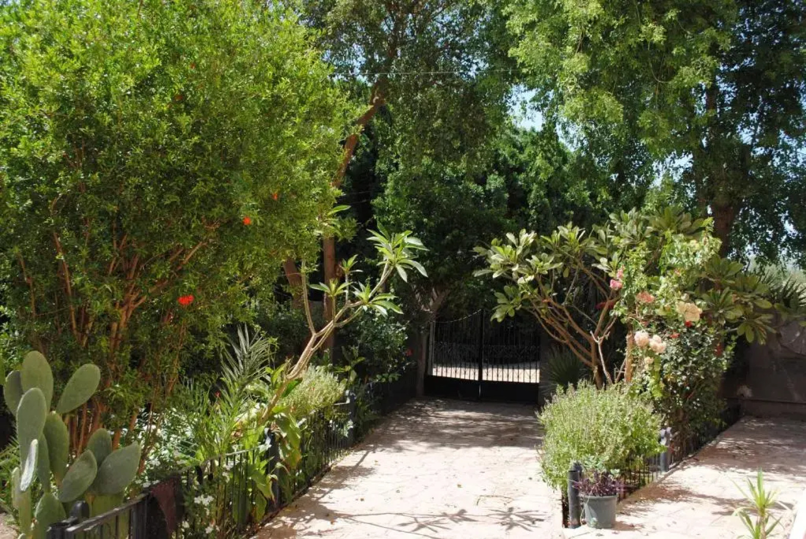 Nubian Holiday House Aswan