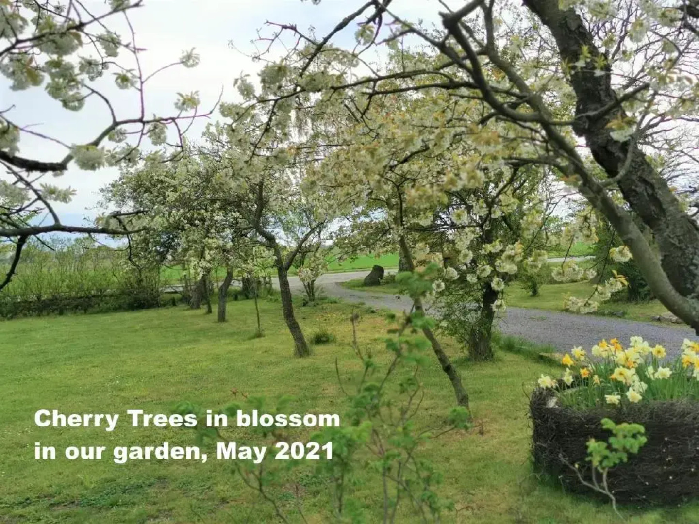 The 'Loft' Apartment- "Den Gule Svane" Guest House - near Rønne & Beach