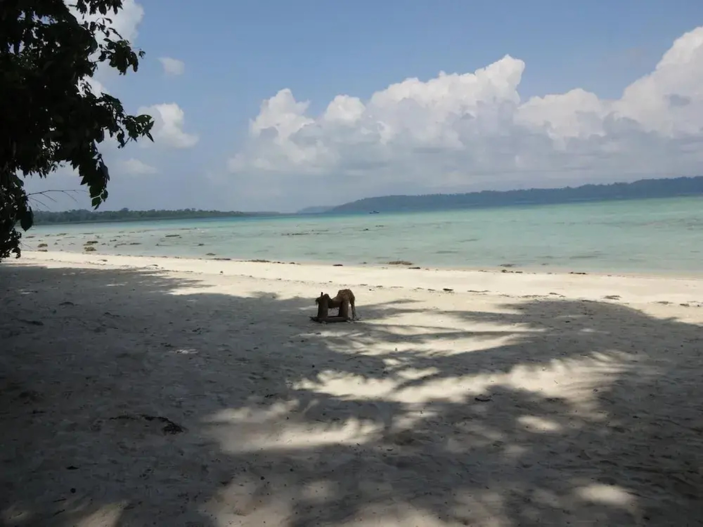Holiday Inn Beach Resort
