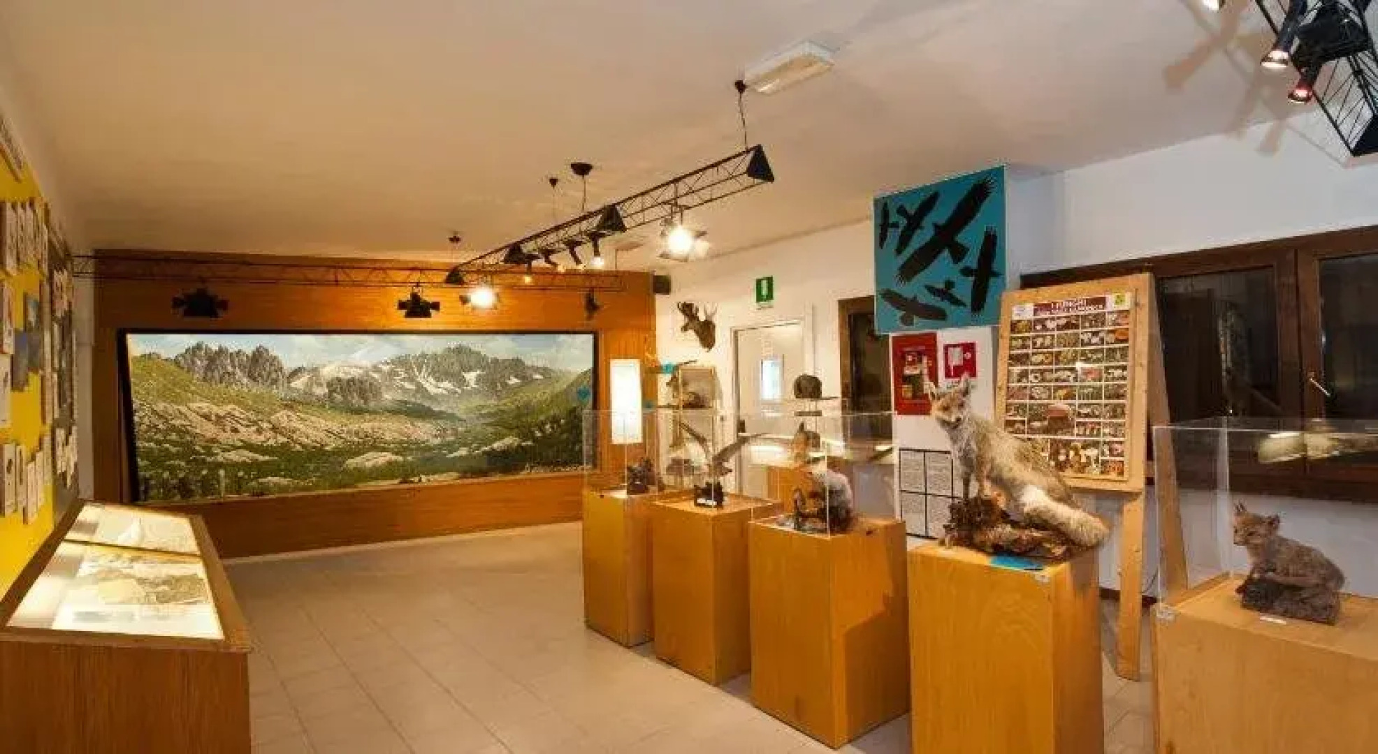 Casa del Parco dellAdamello di Vezza dOglio