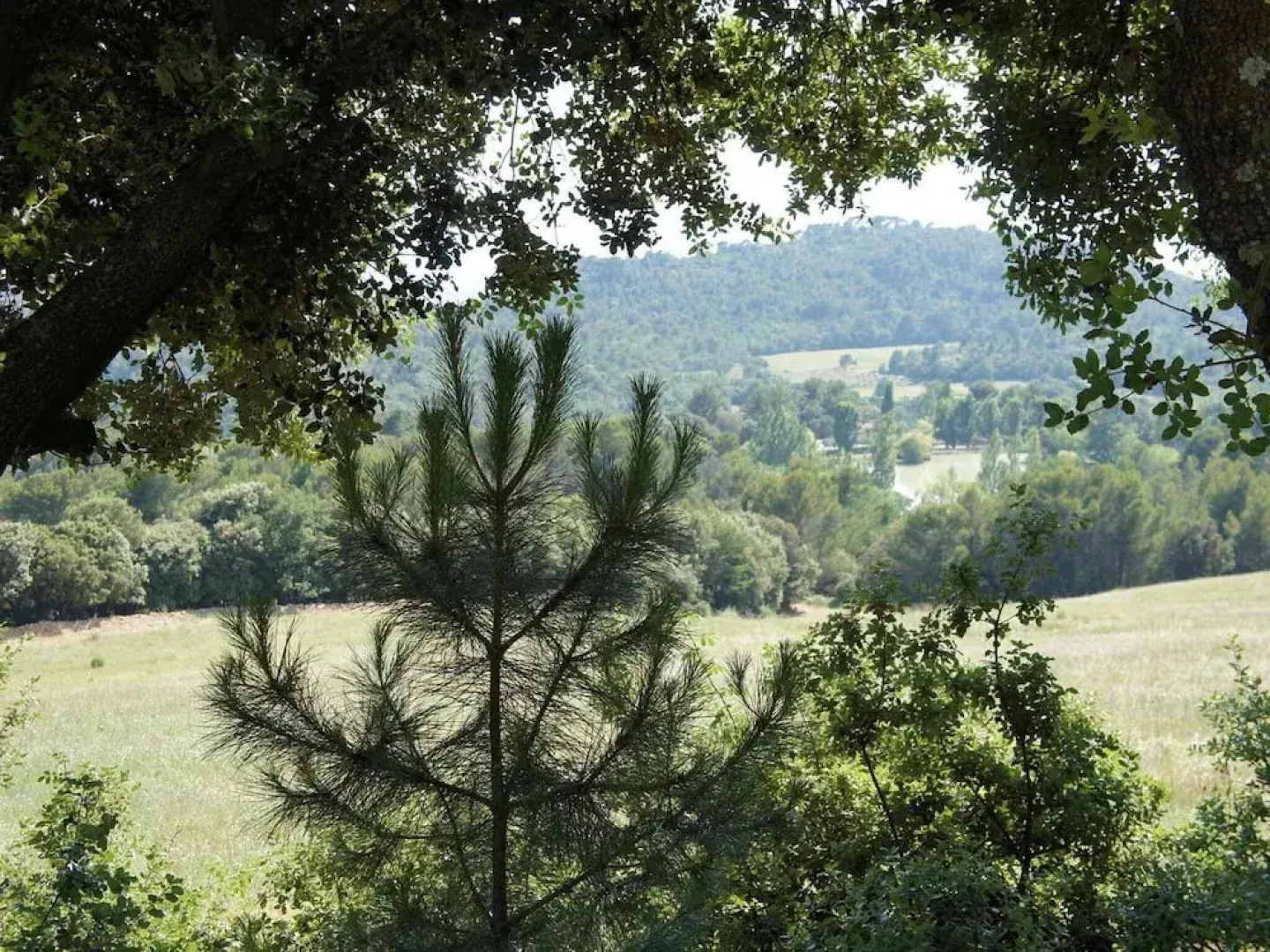 Beautiful Character House With Private Pool and High-end Services