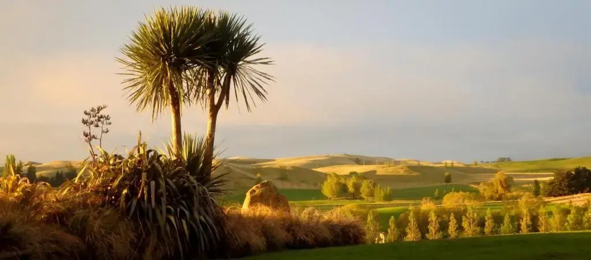 Tree House Lodge Bed & Breakfast