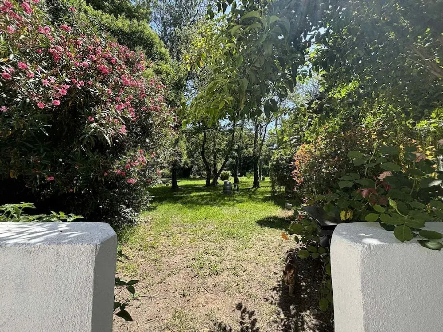 Gîtes Terra Di A Bravona