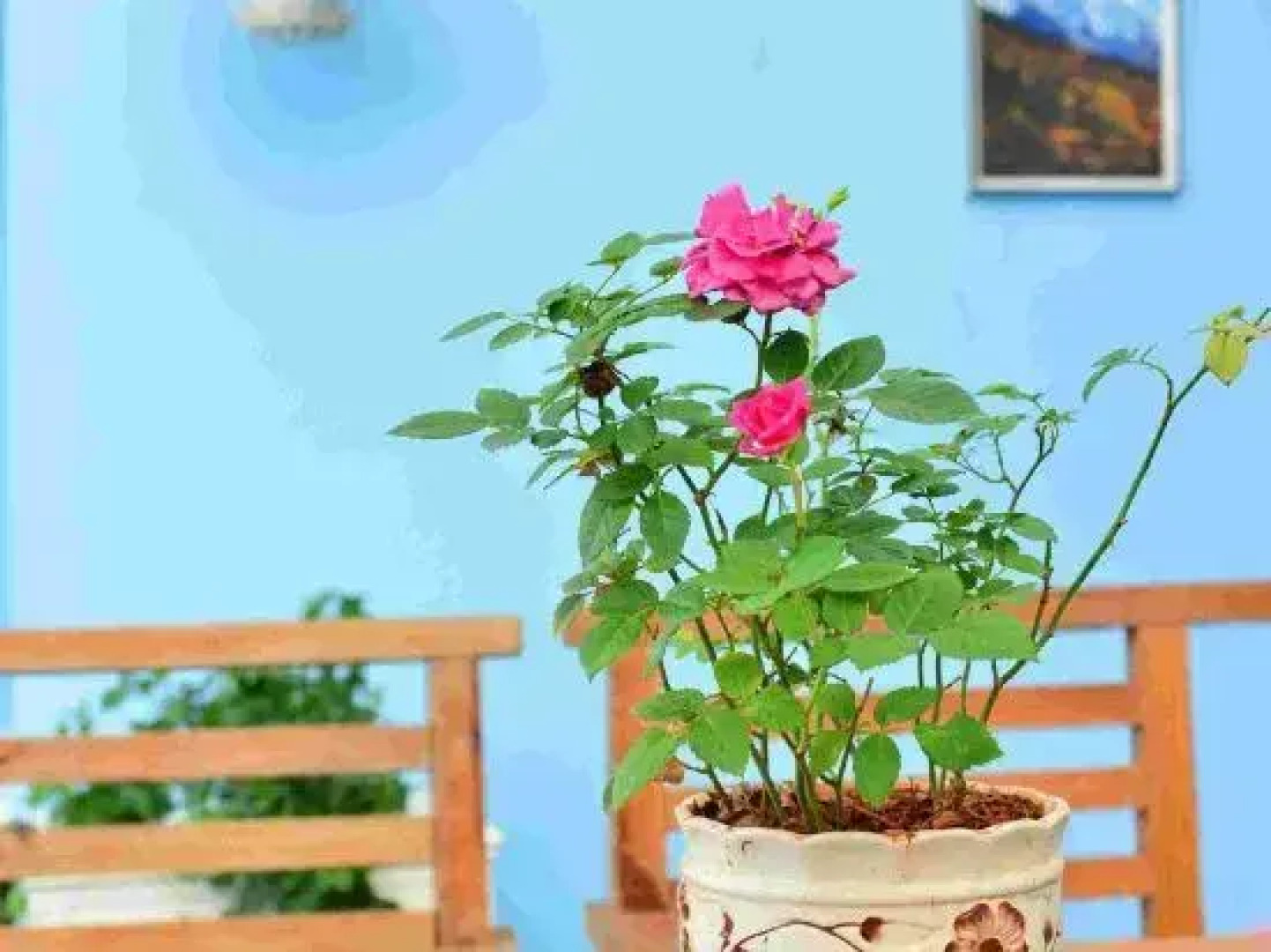 Shiping memory hotel