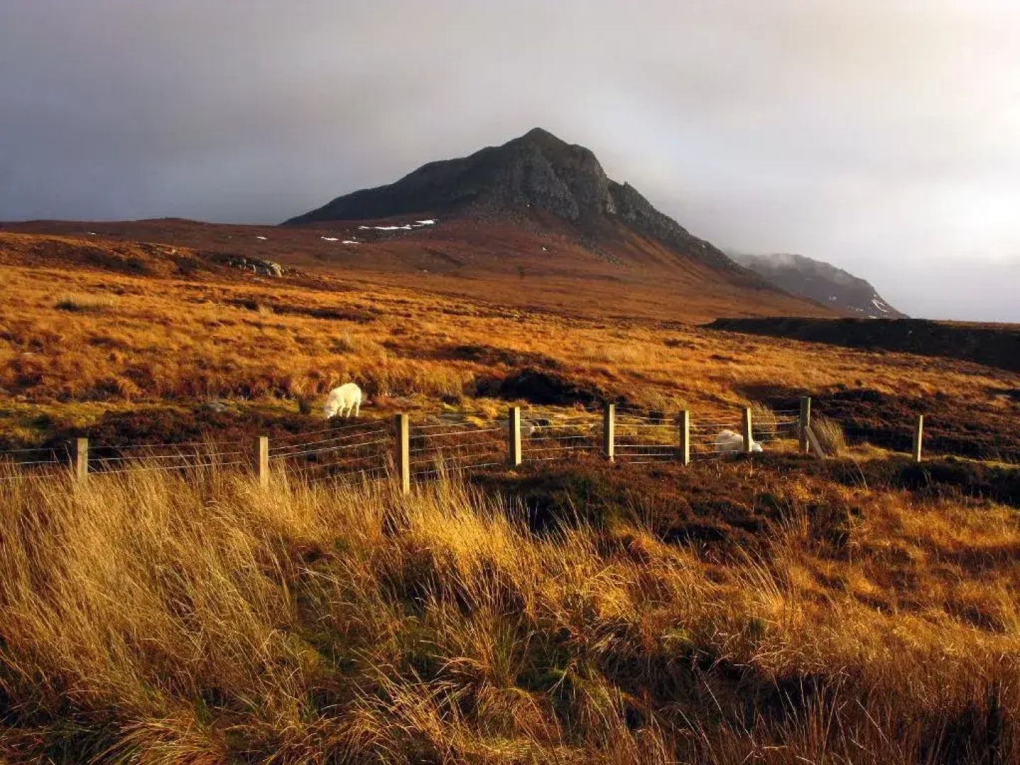 Tigh Uisdean Bed And Breakfast