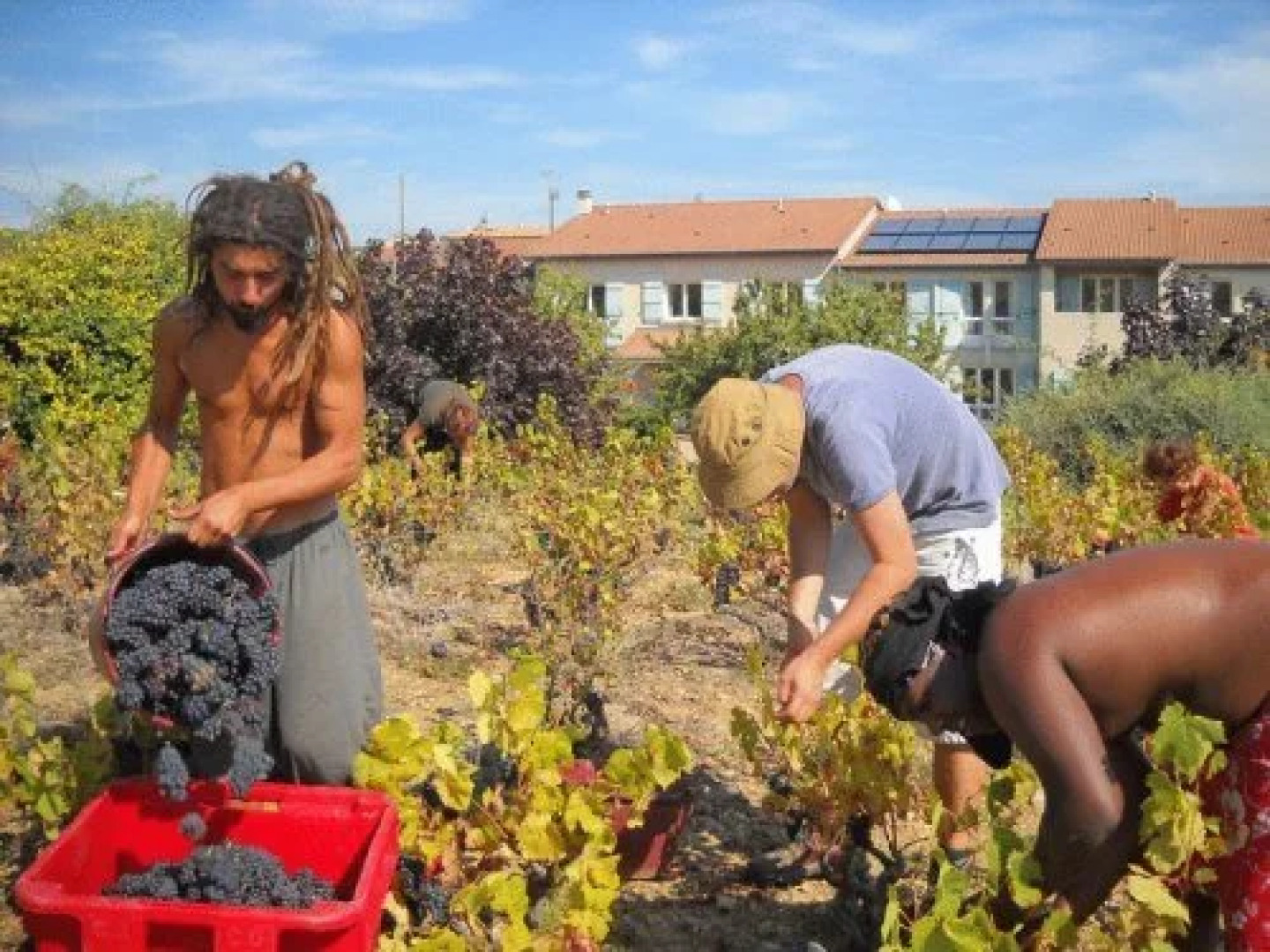 Hotel des Vignes - Le calme au coeur des vignes
