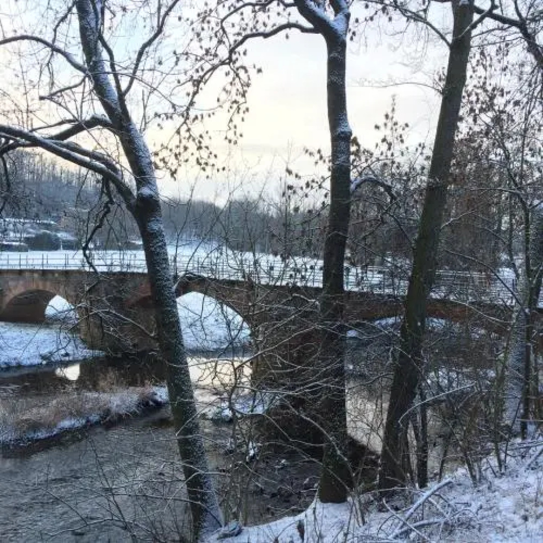 Ferienwohnung Pleissenhaus