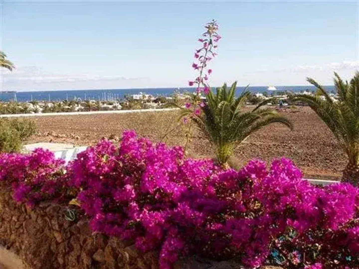 Birgiana