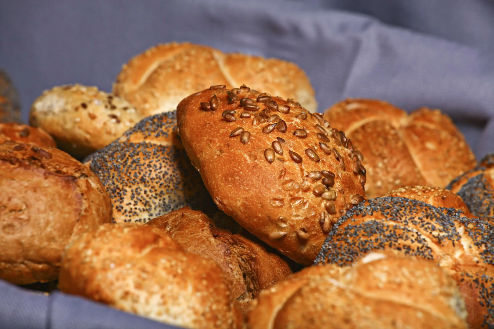 Best Western Hotel Peine-Salzgitter