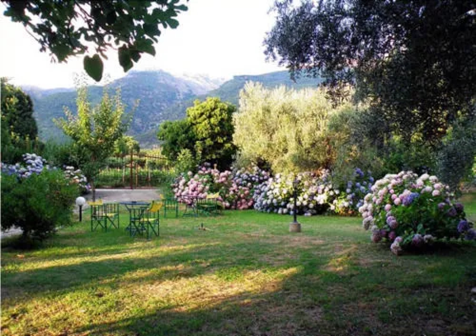 Alekas Studios
