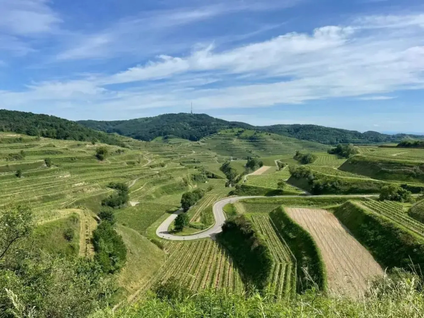 Holiday Apartment Swallow's Nest