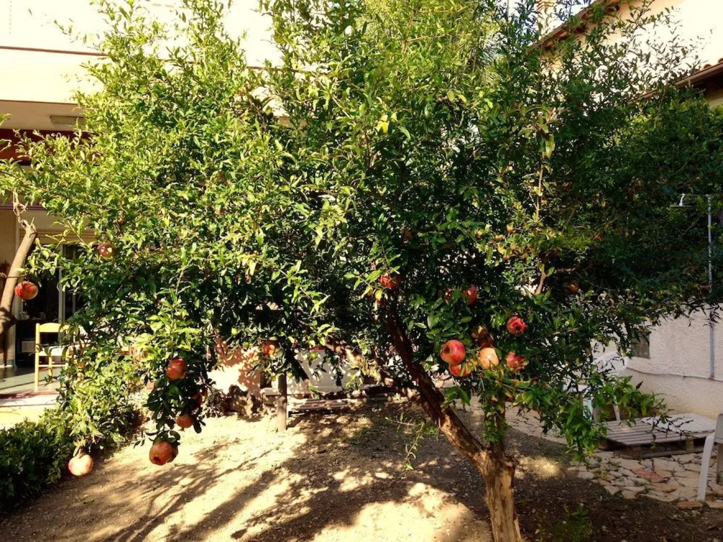 B&B Villa Maria Agrigento