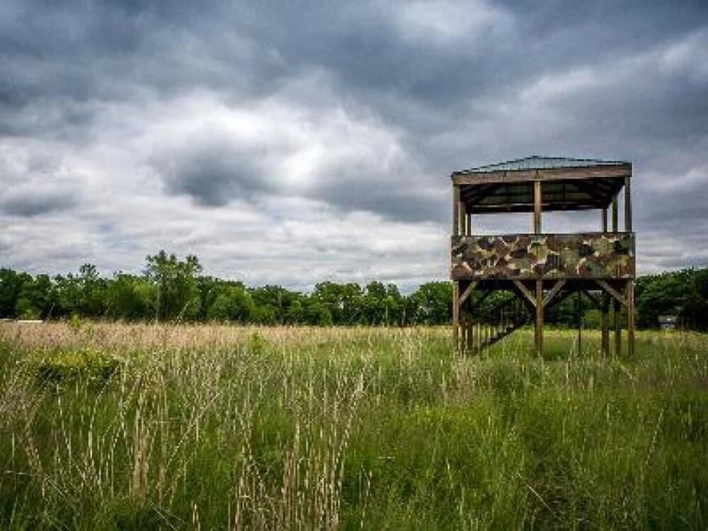 Pleasant Grove Farm LLC