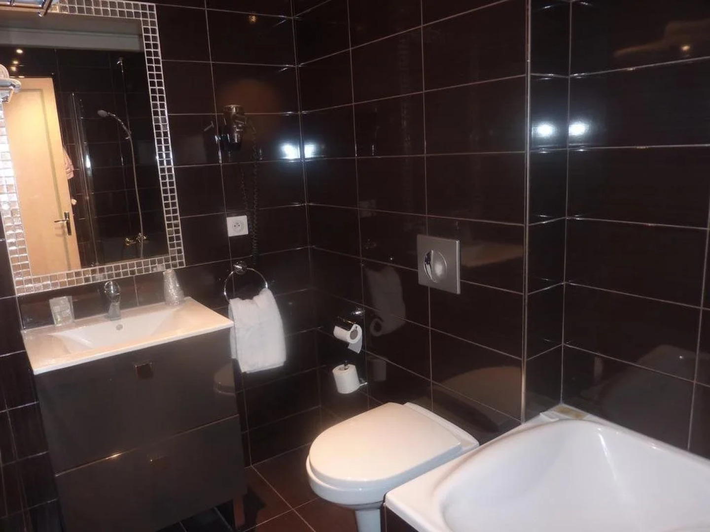 Prince Albert Louvre