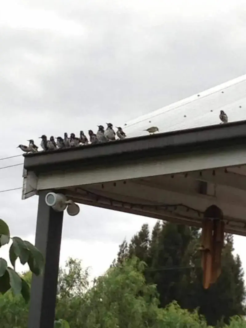 Sweet Dreams Retreat At Lara