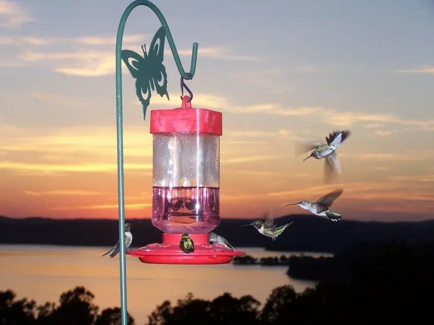 Pointe West Resort Motel