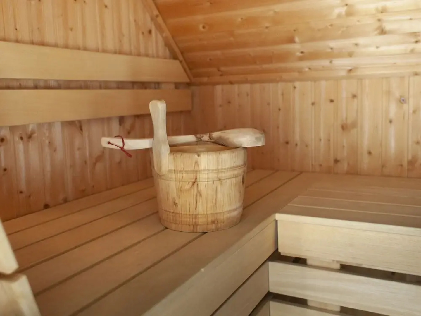 Thatched Villa by Ijsselmeer