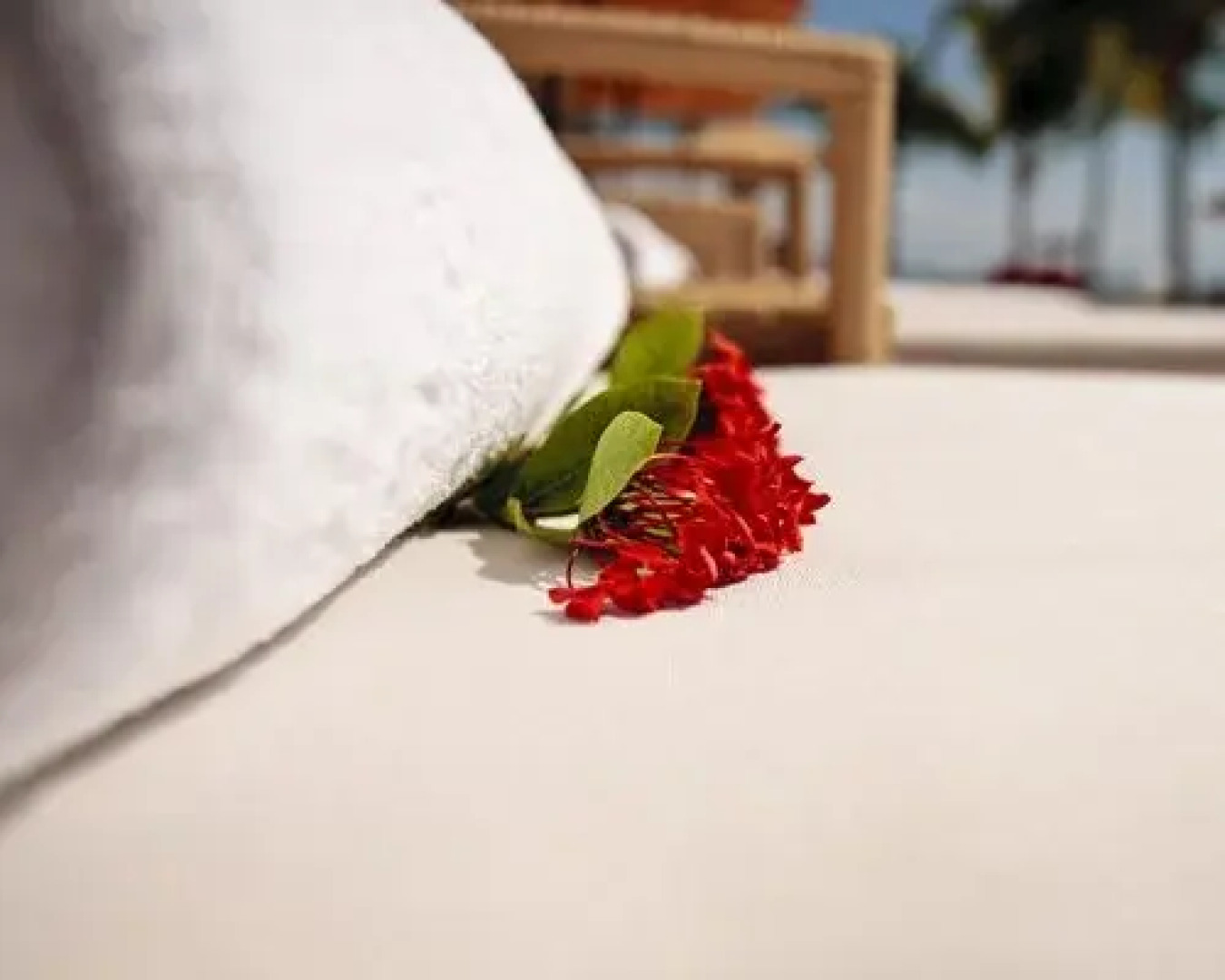 Vallarta Gardens LG, Bahía de Banderas, Mexico