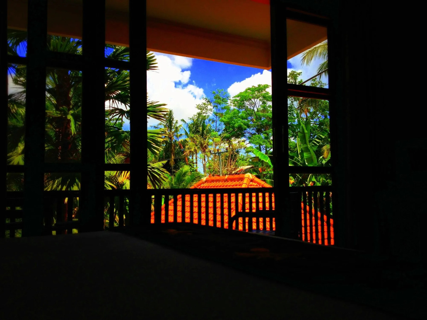 Villa Sonia Bisma