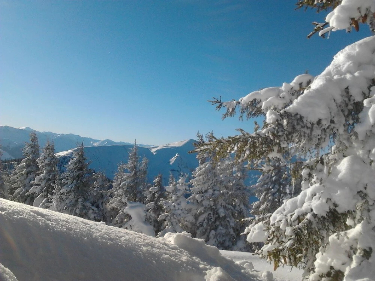 Wooden Chalet in Fusch an der Großglocknerstraße With Sauna
