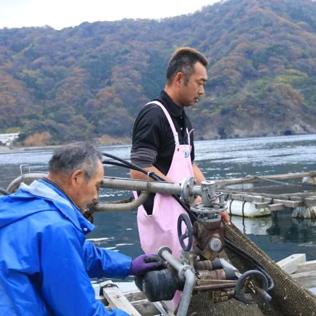 Wakasakamiko Bokai Kouraku