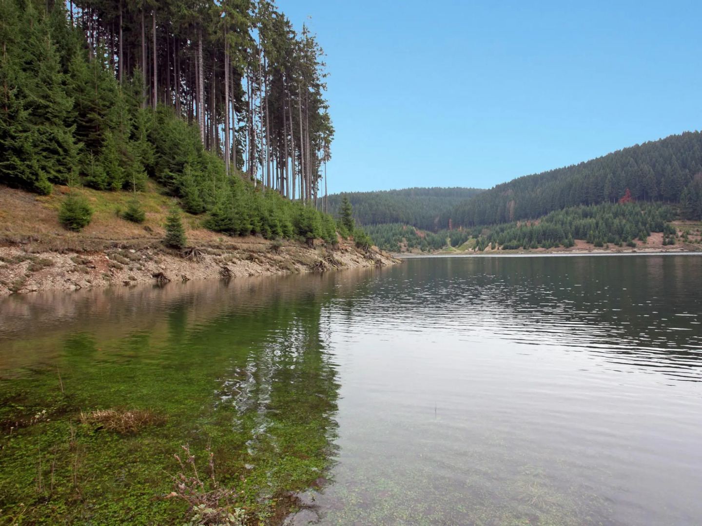 Cozy Apartment Near Trails