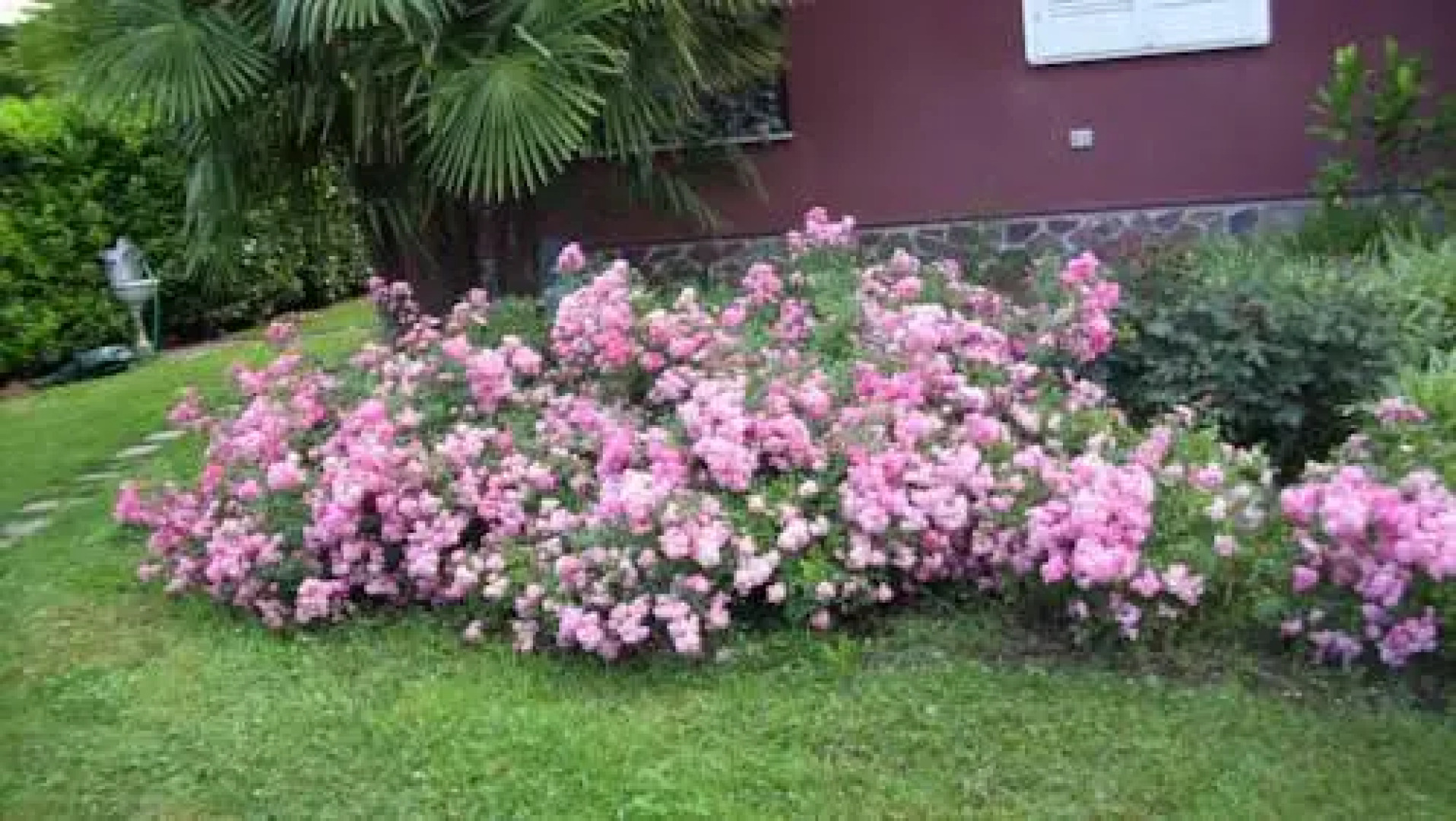 Appartamento Casa Rossa